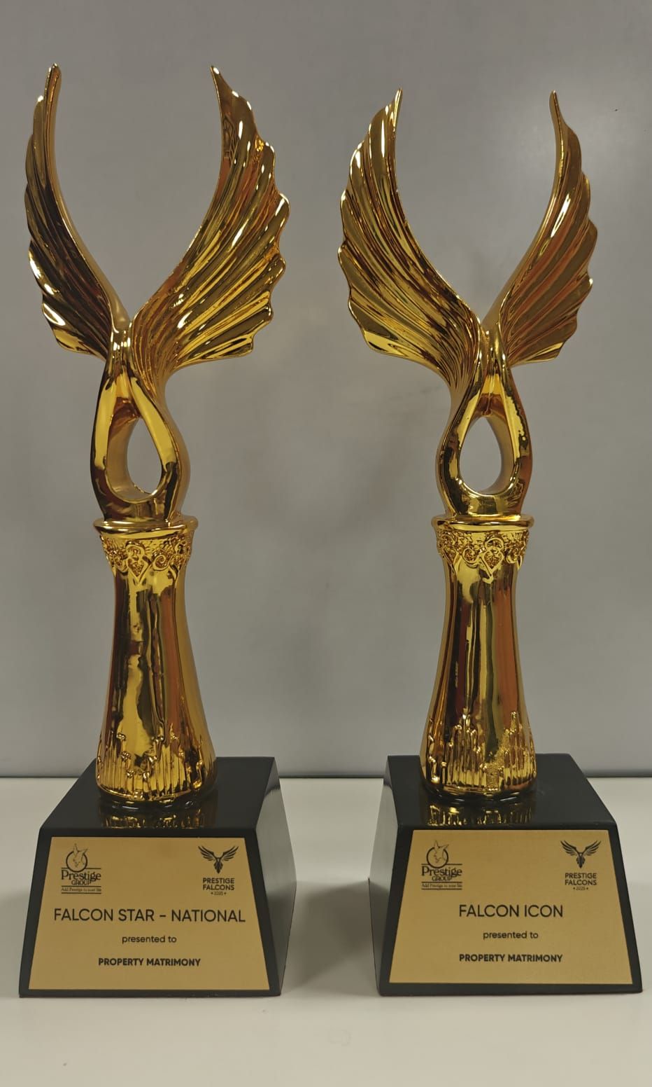 Property Matrimony award recognition 19